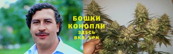 PSILOCYBIN Михайловка