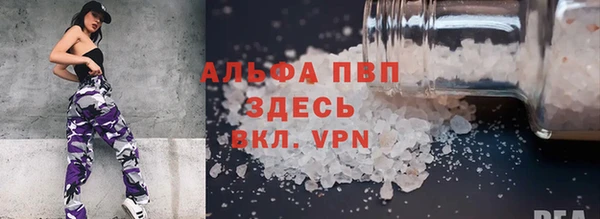 прущие грибы Мегион