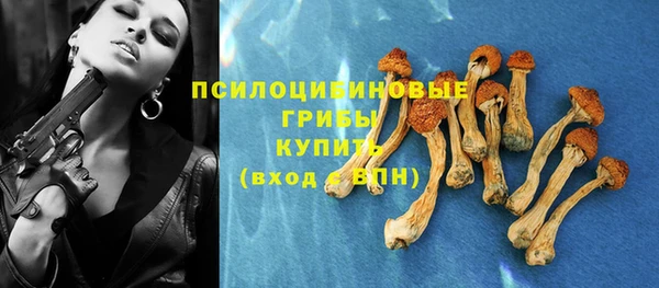 прущие грибы Мегион