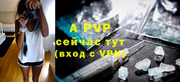 прущие грибы Мегион