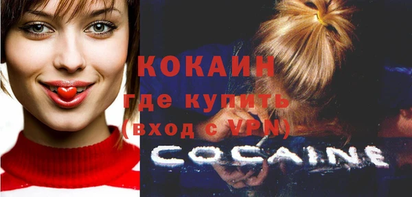 прущие грибы Мегион