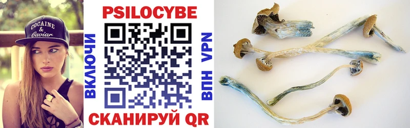 Галлюциногенные грибы Magic Shrooms  Купить  Янаул 